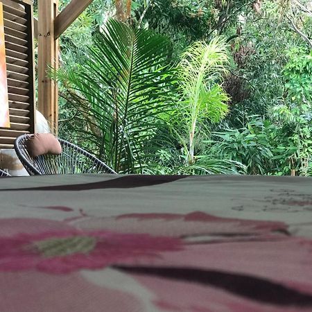 Le Lambablanc Bed and Breakfast Bras-Panon Esterno foto