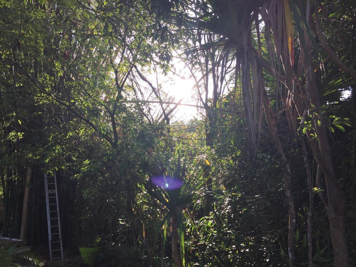Le Lambablanc Bed and Breakfast Bras-Panon Esterno foto
