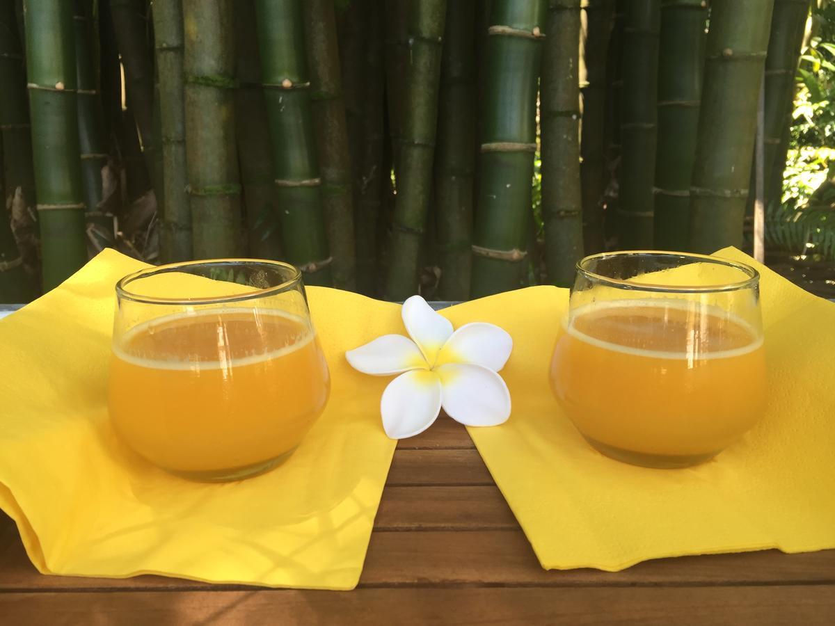 Le Lambablanc Bed and Breakfast Bras-Panon Esterno foto