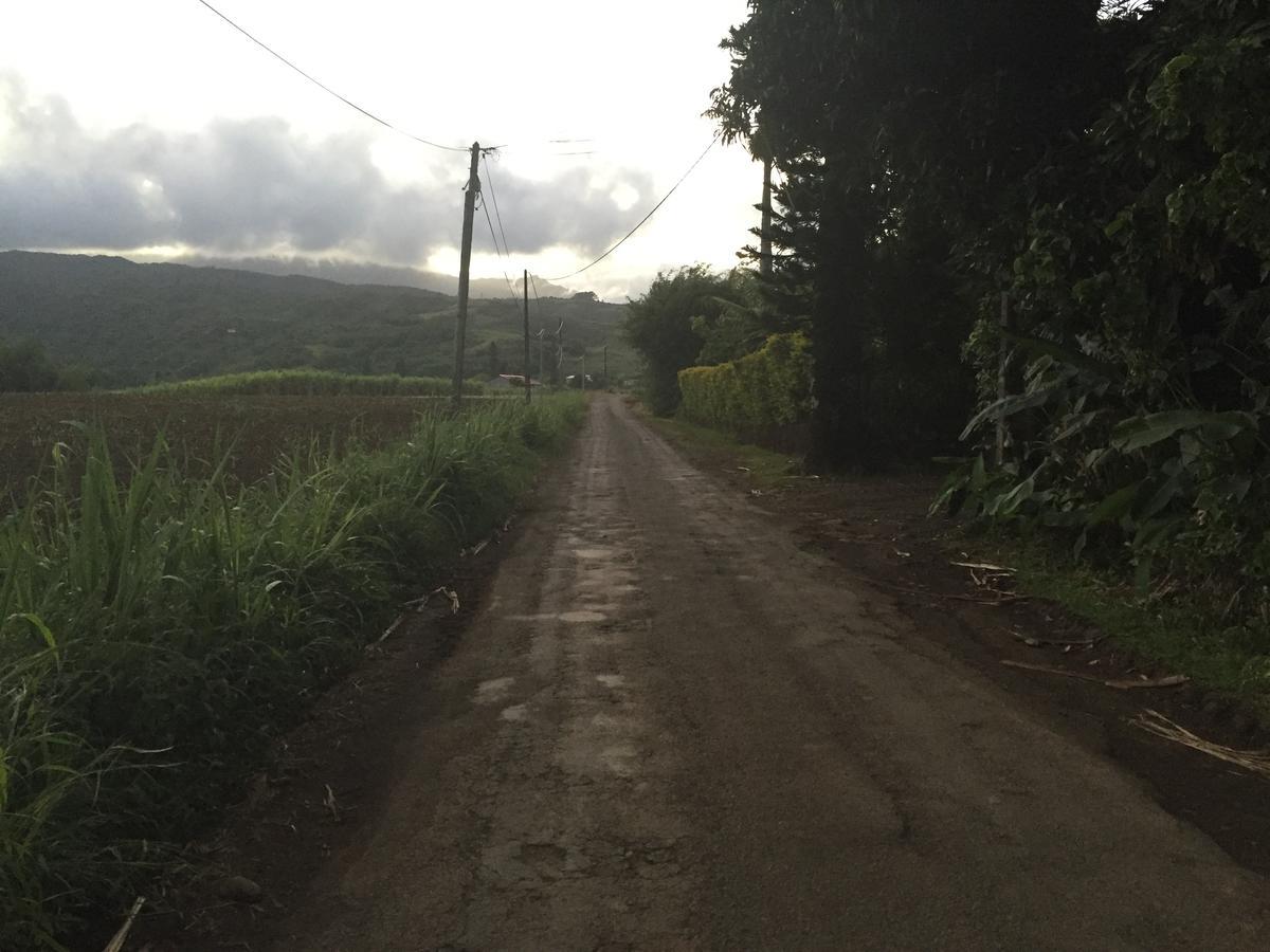 Le Lambablanc Bed and Breakfast Bras-Panon Esterno foto