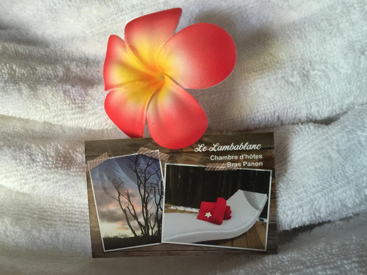Le Lambablanc Bed and Breakfast Bras-Panon Esterno foto